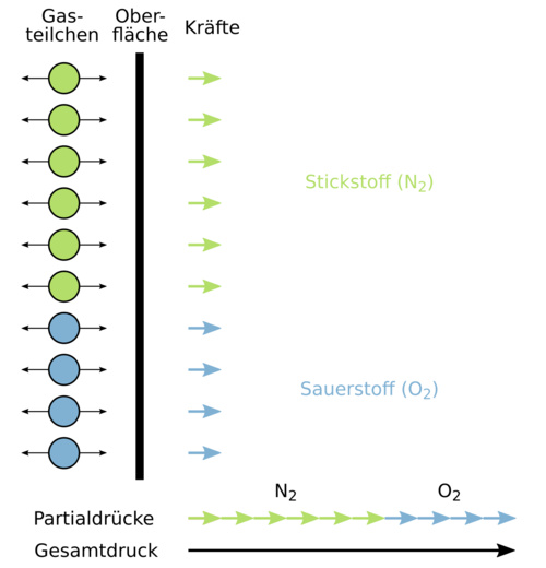 Henrysche Gesetz Henrysche Gesetz